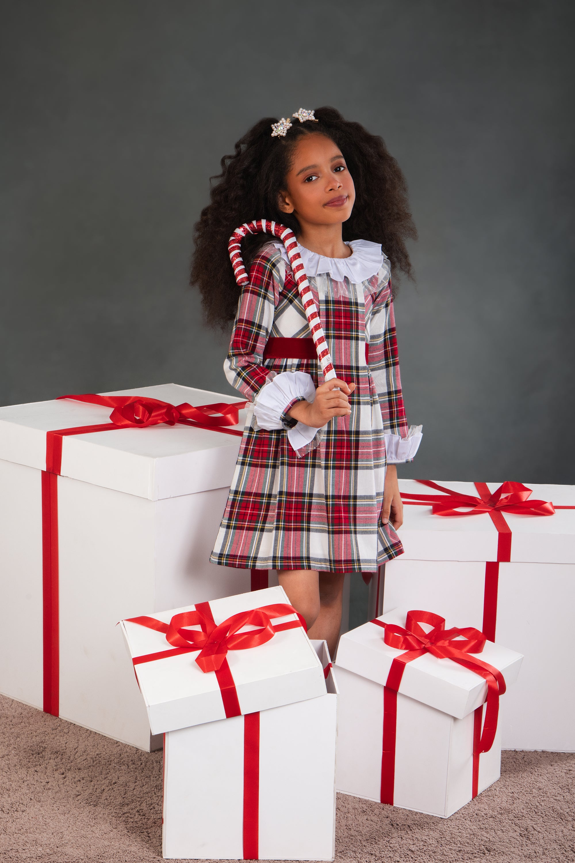 Joanna Plaid Dress (Sale)