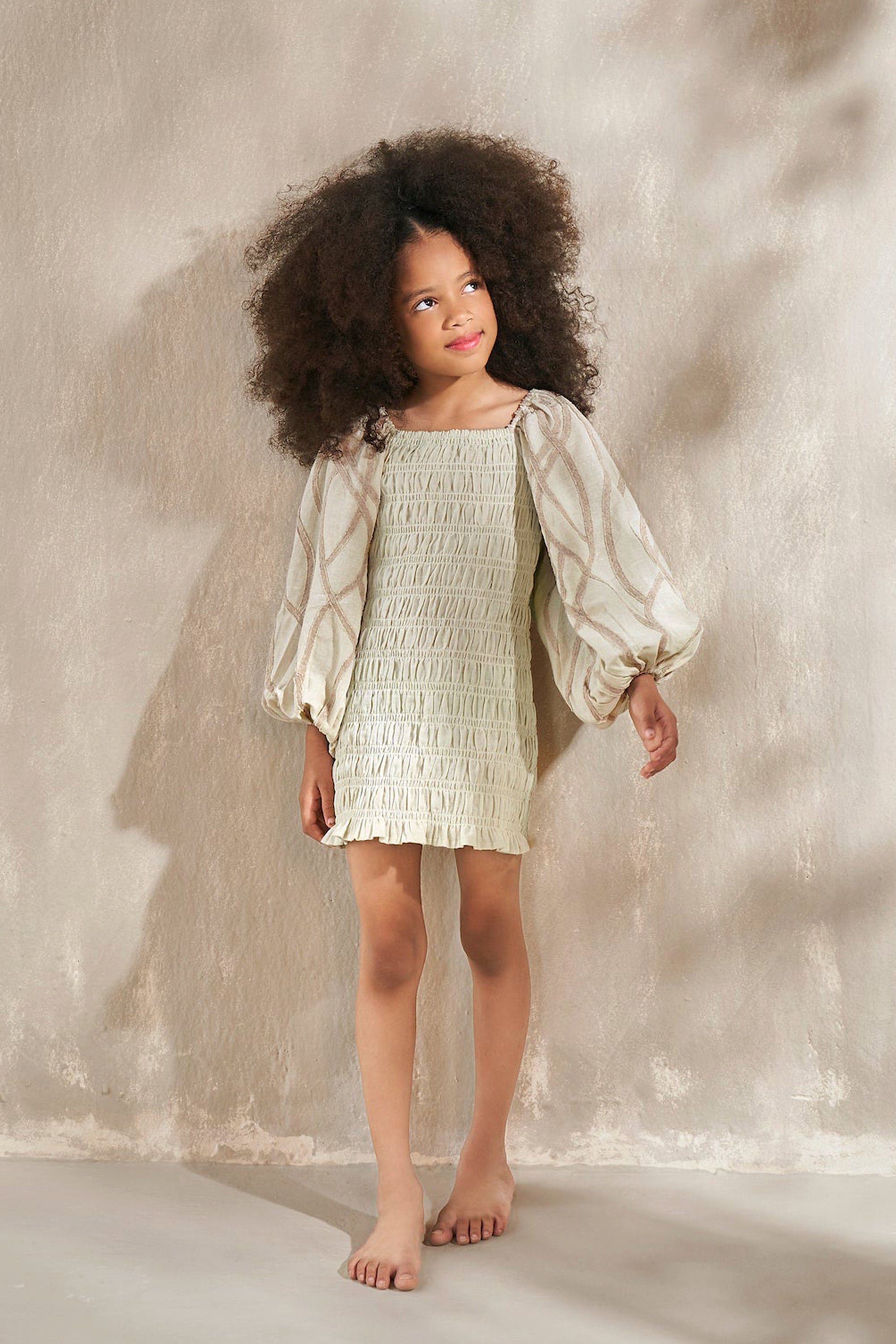 The Penelope Linen Dress