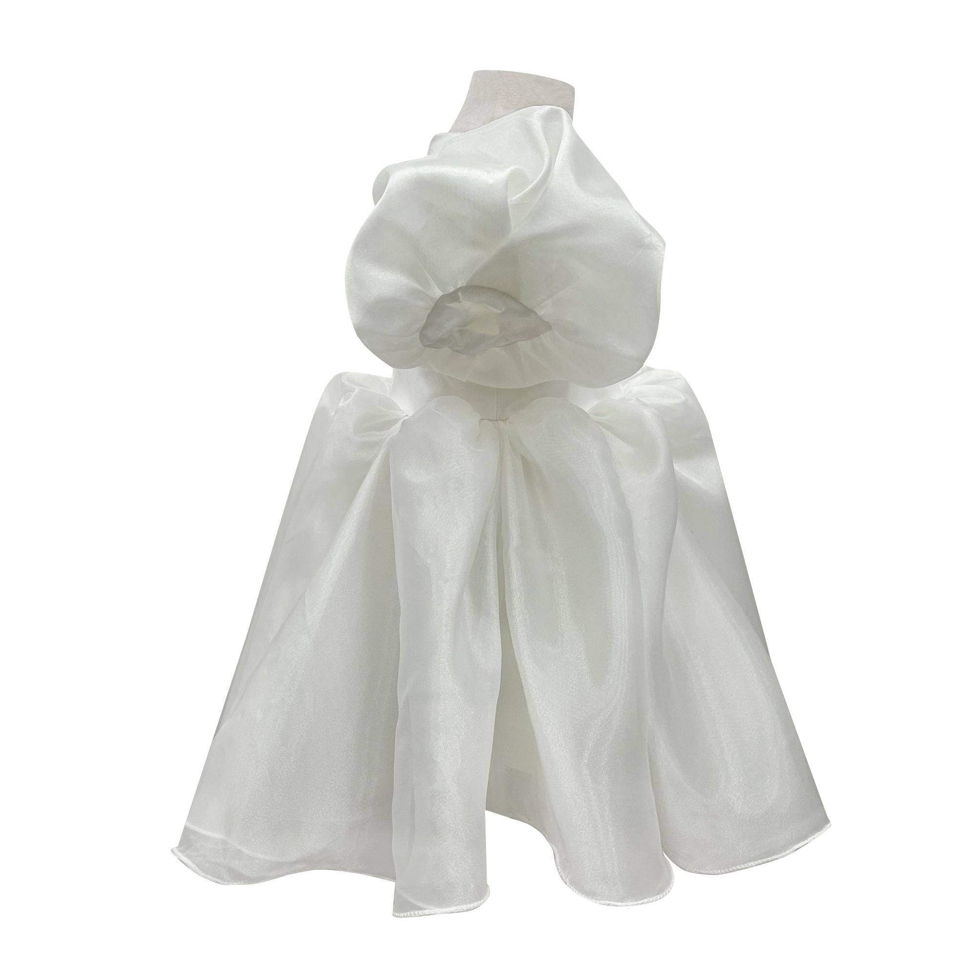 The Alaia Organza Dress (White)