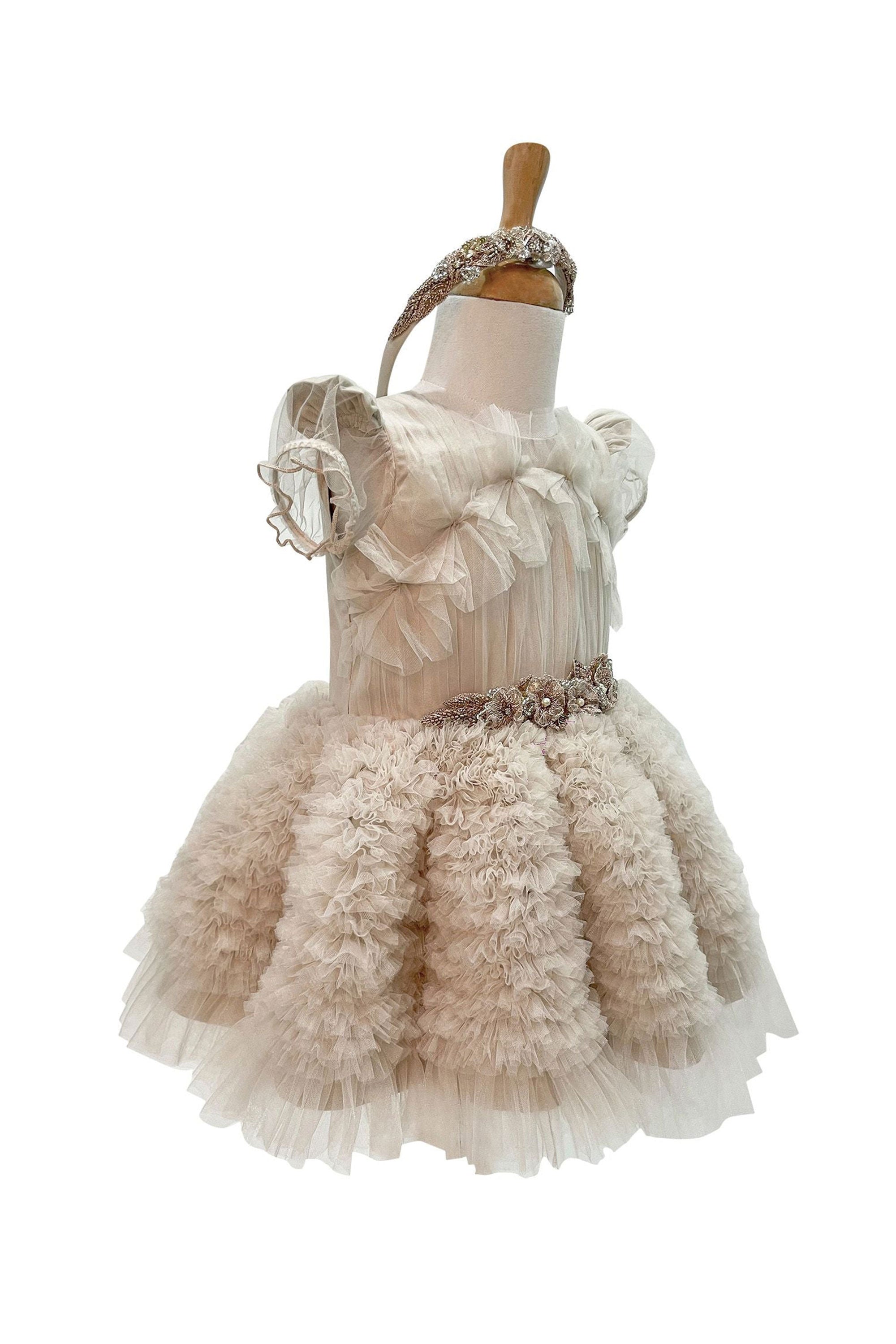The Embellished Ariel Tulle Dress with Sleeves (Beige)