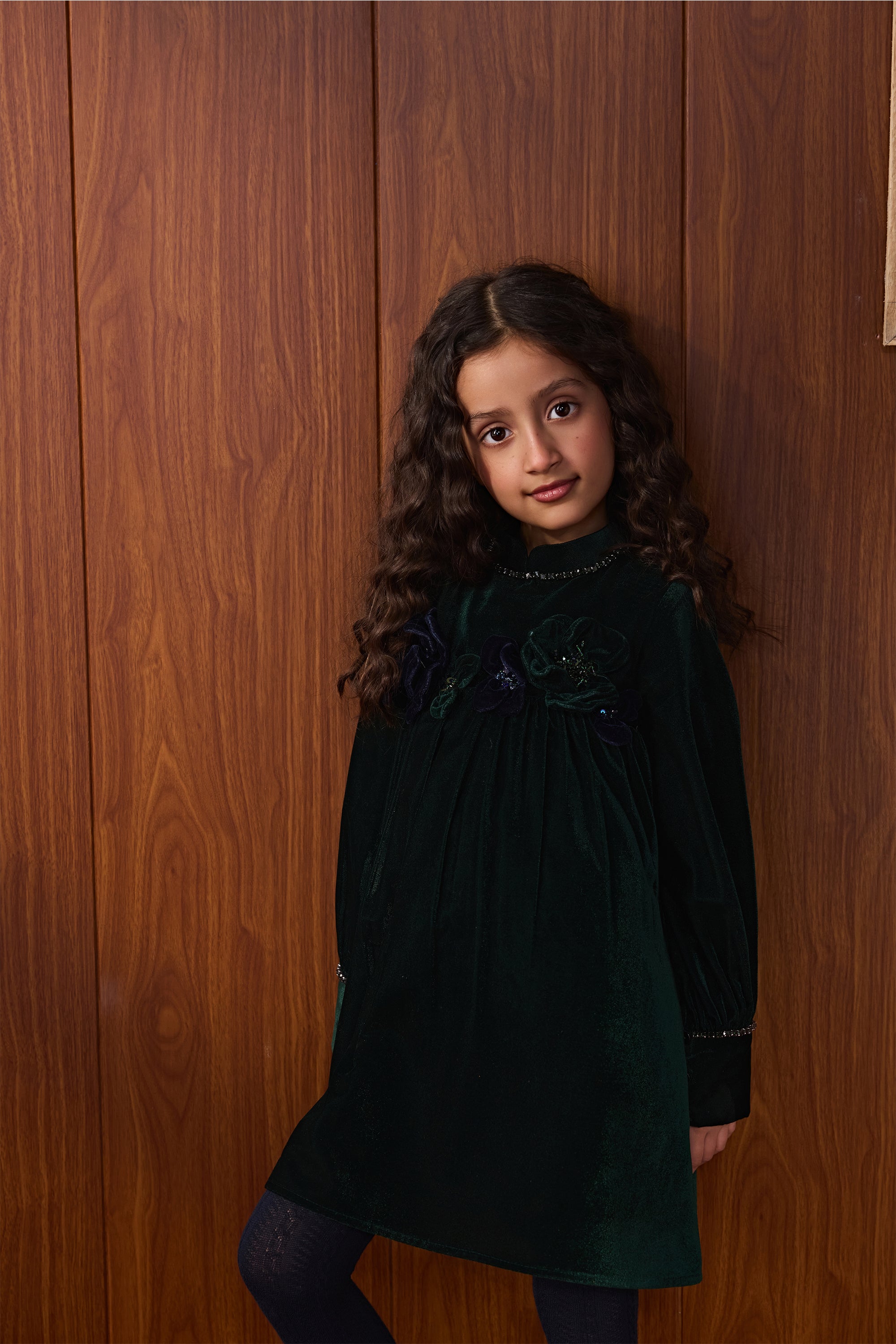 Elva Velvet Dress