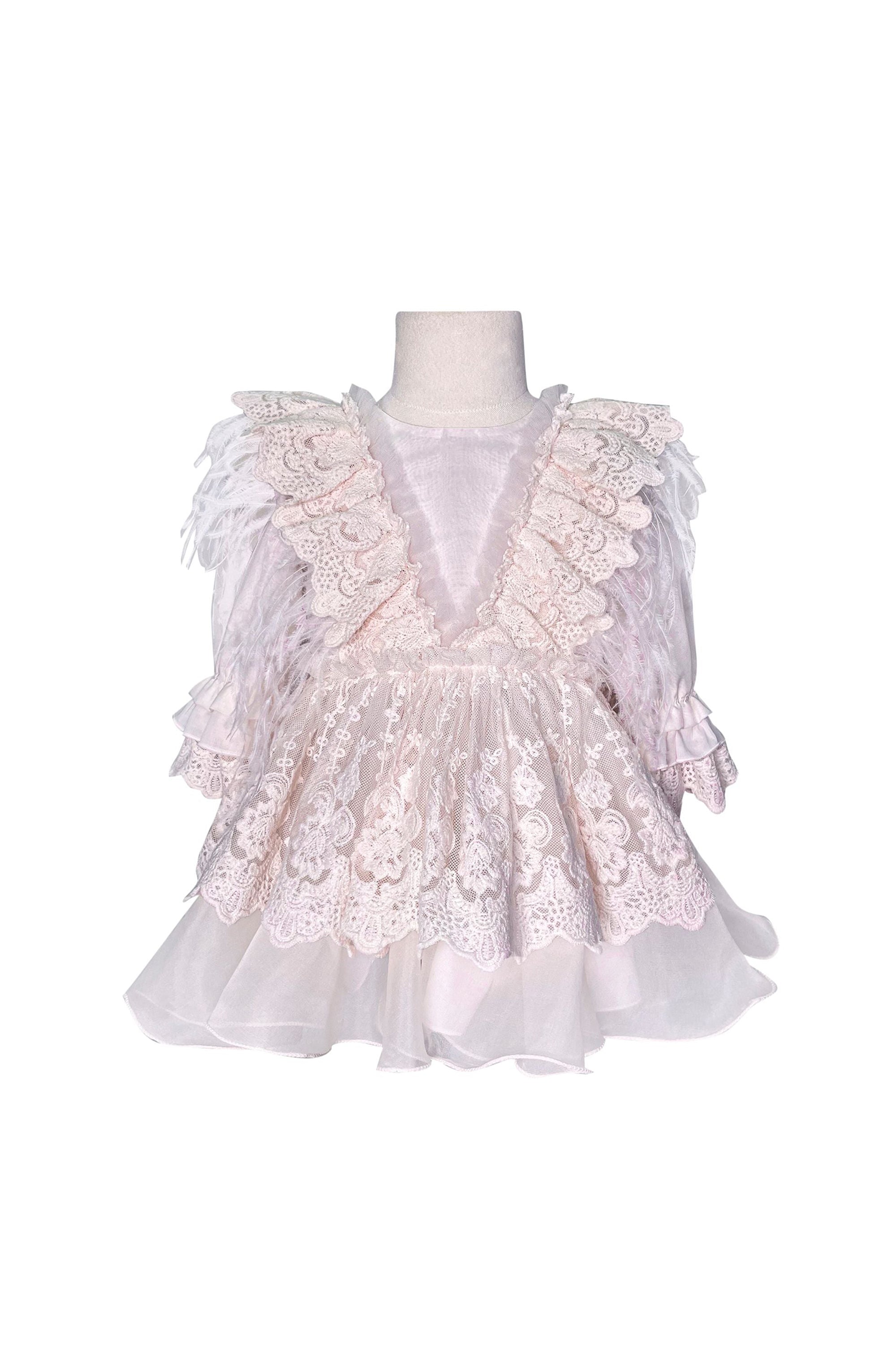 Sleeved Feather Fairy Dress (Pink)