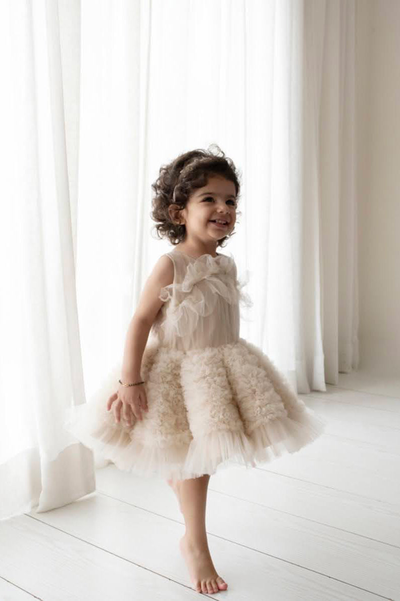 The Ariel Tulle Dress (Beige)