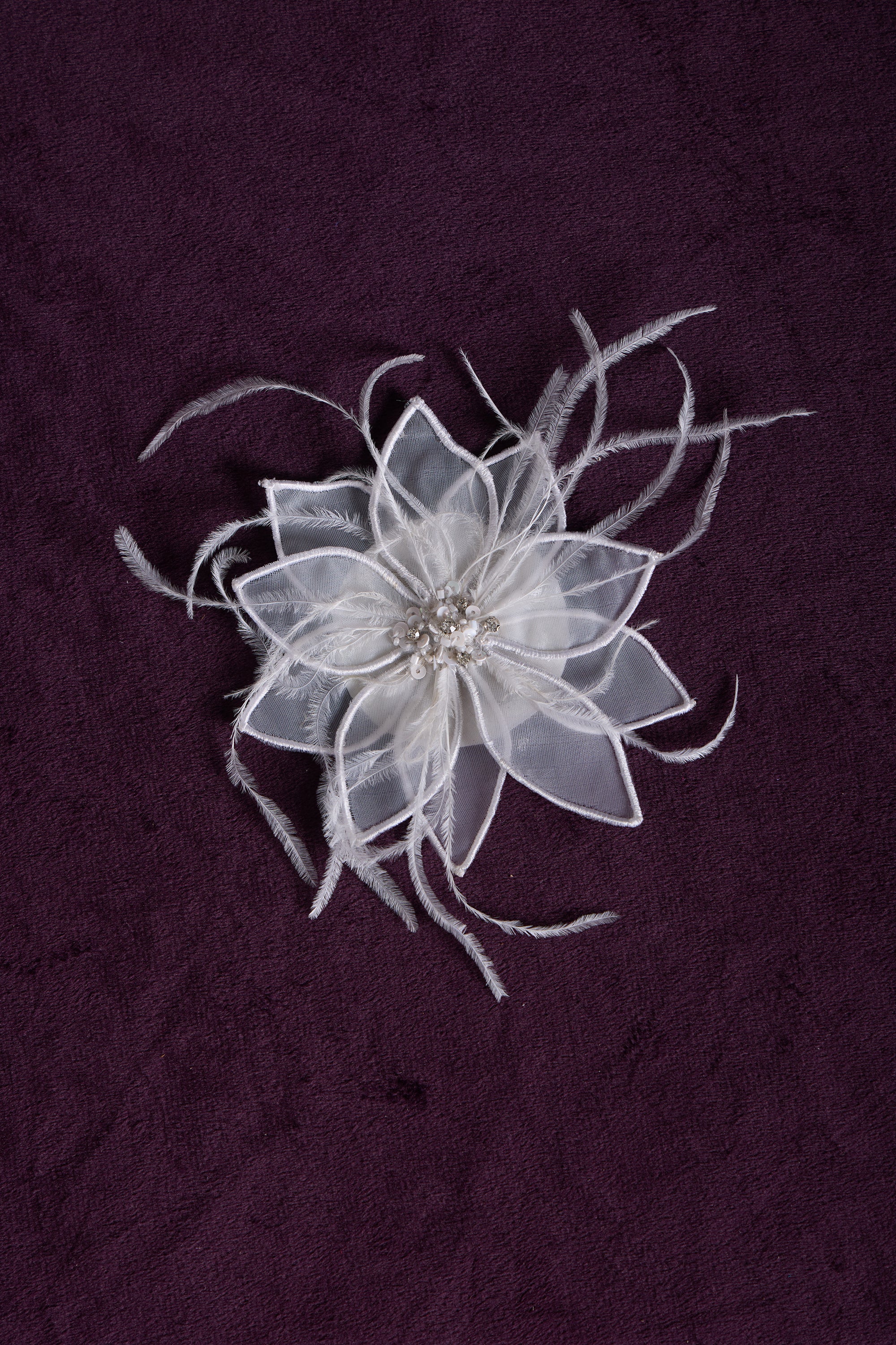 Edwena White Clip