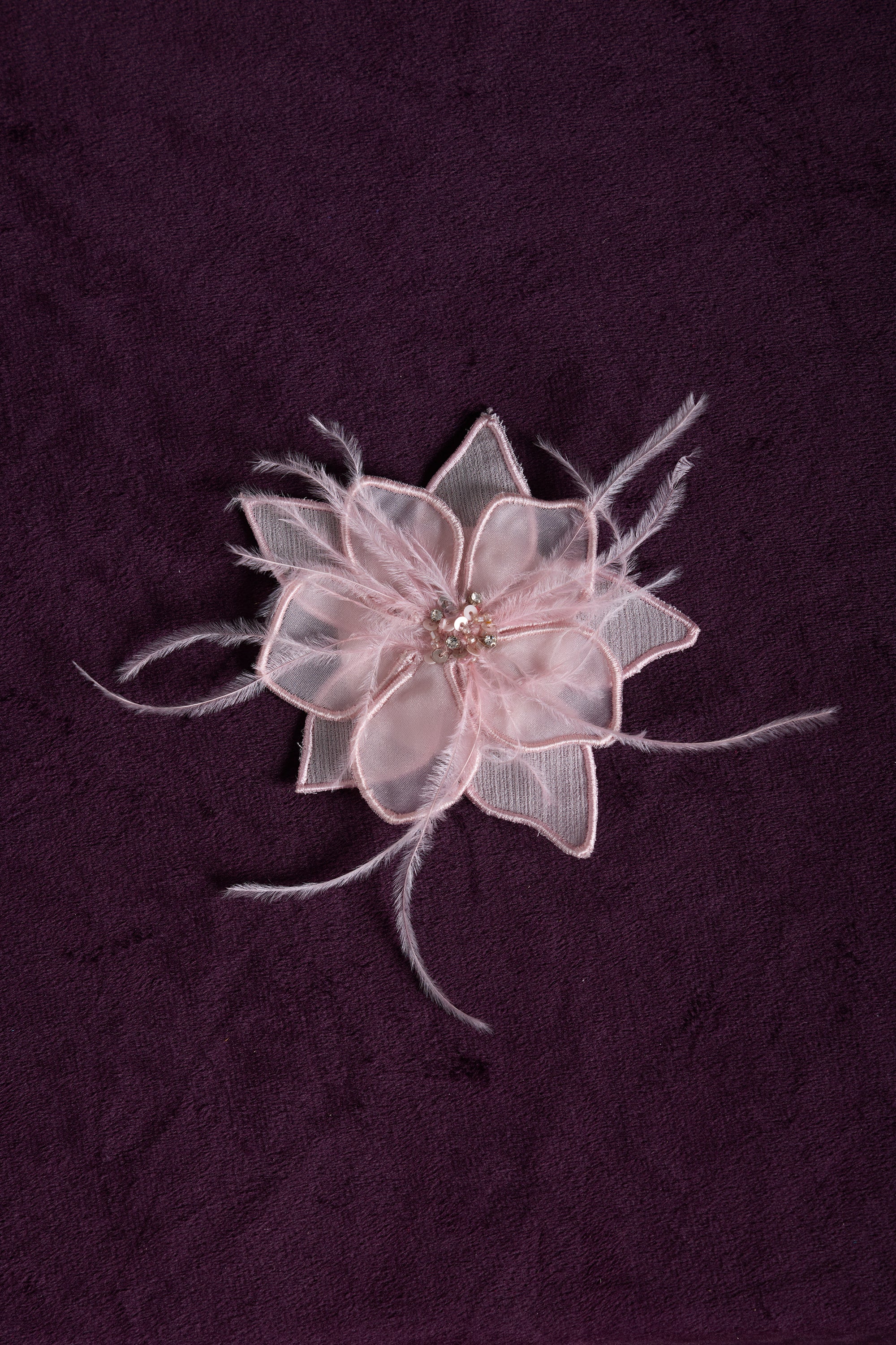 The Aliandra Clip
