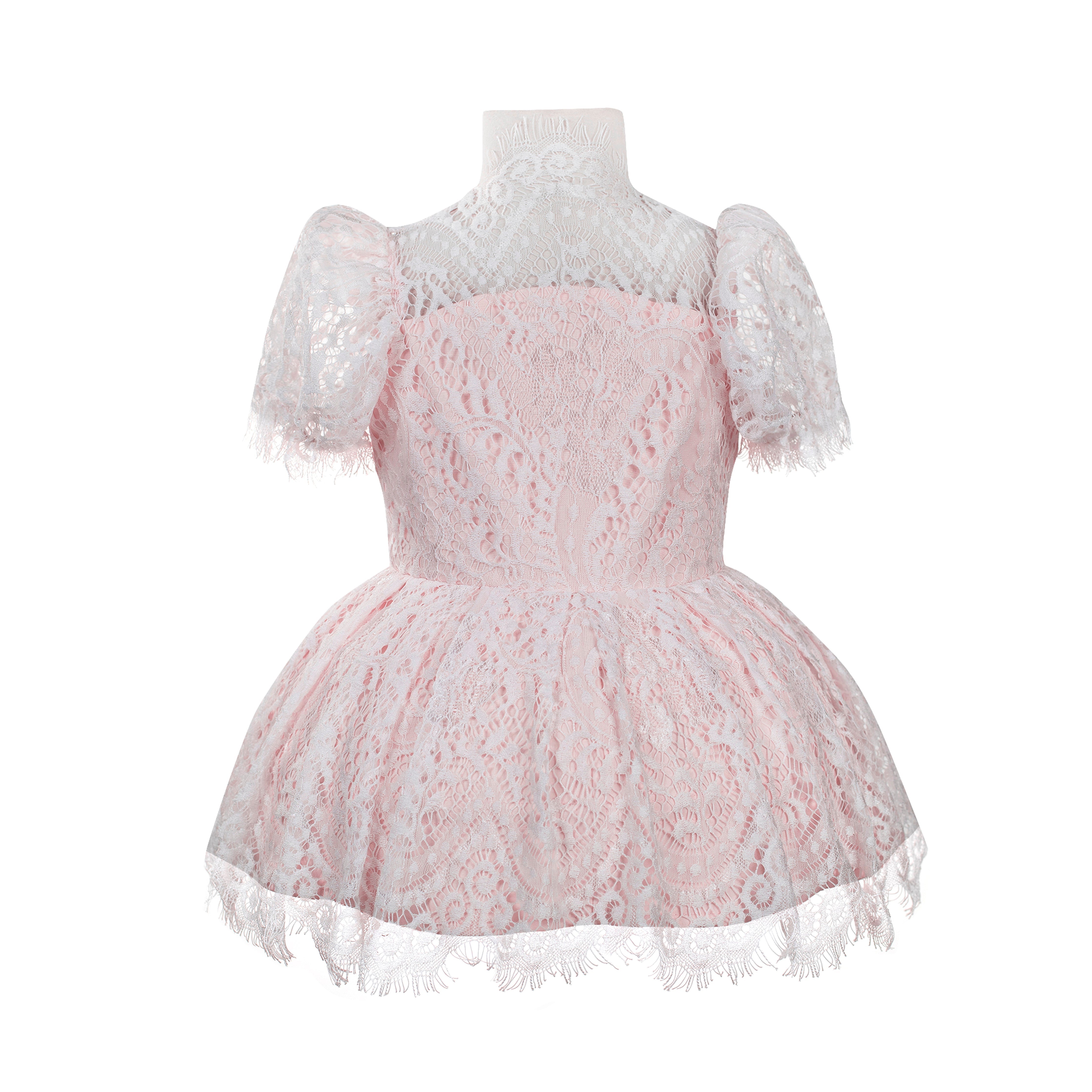 The Audrey Lace Dress (Pink)
