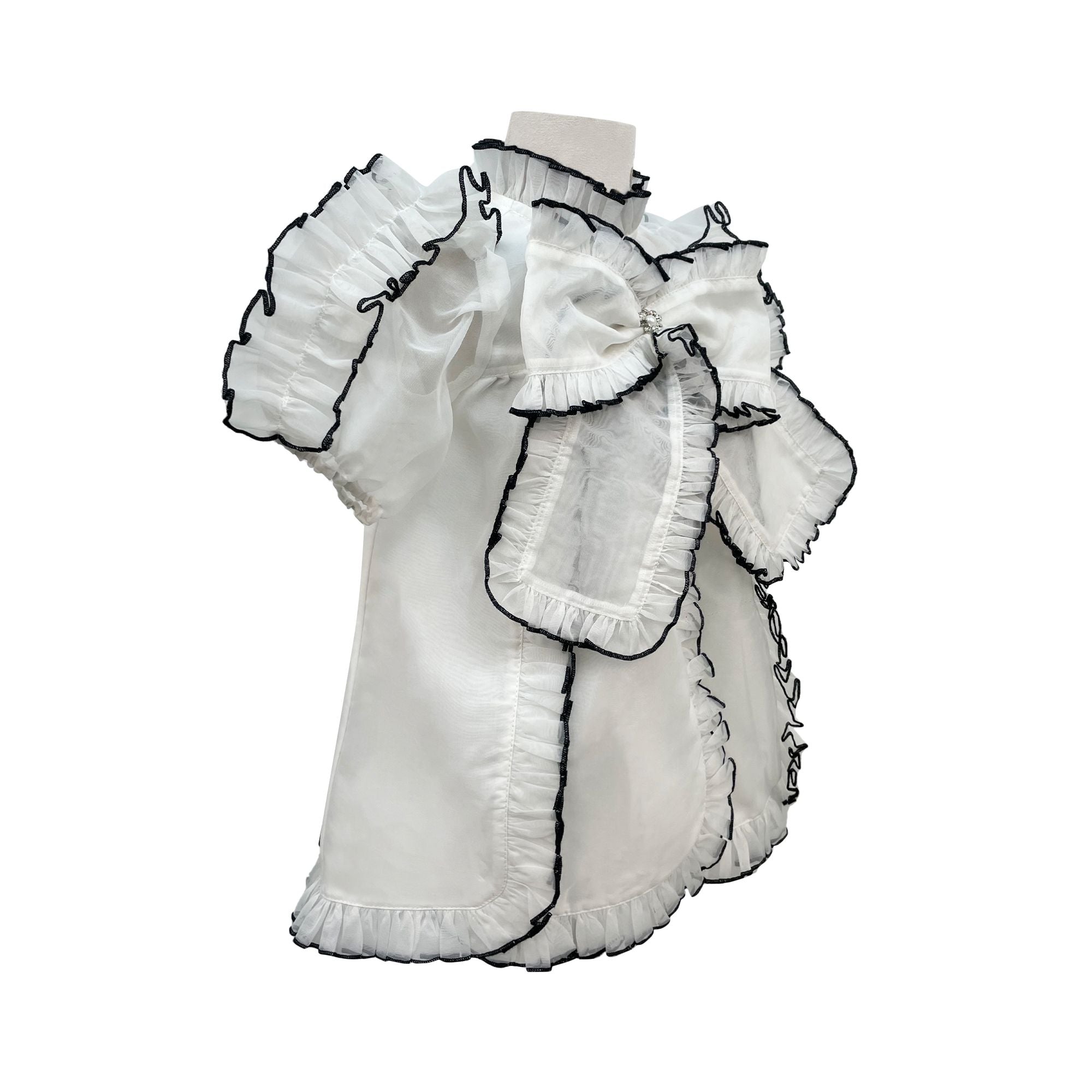 The Sienna Organza Dress (White)
