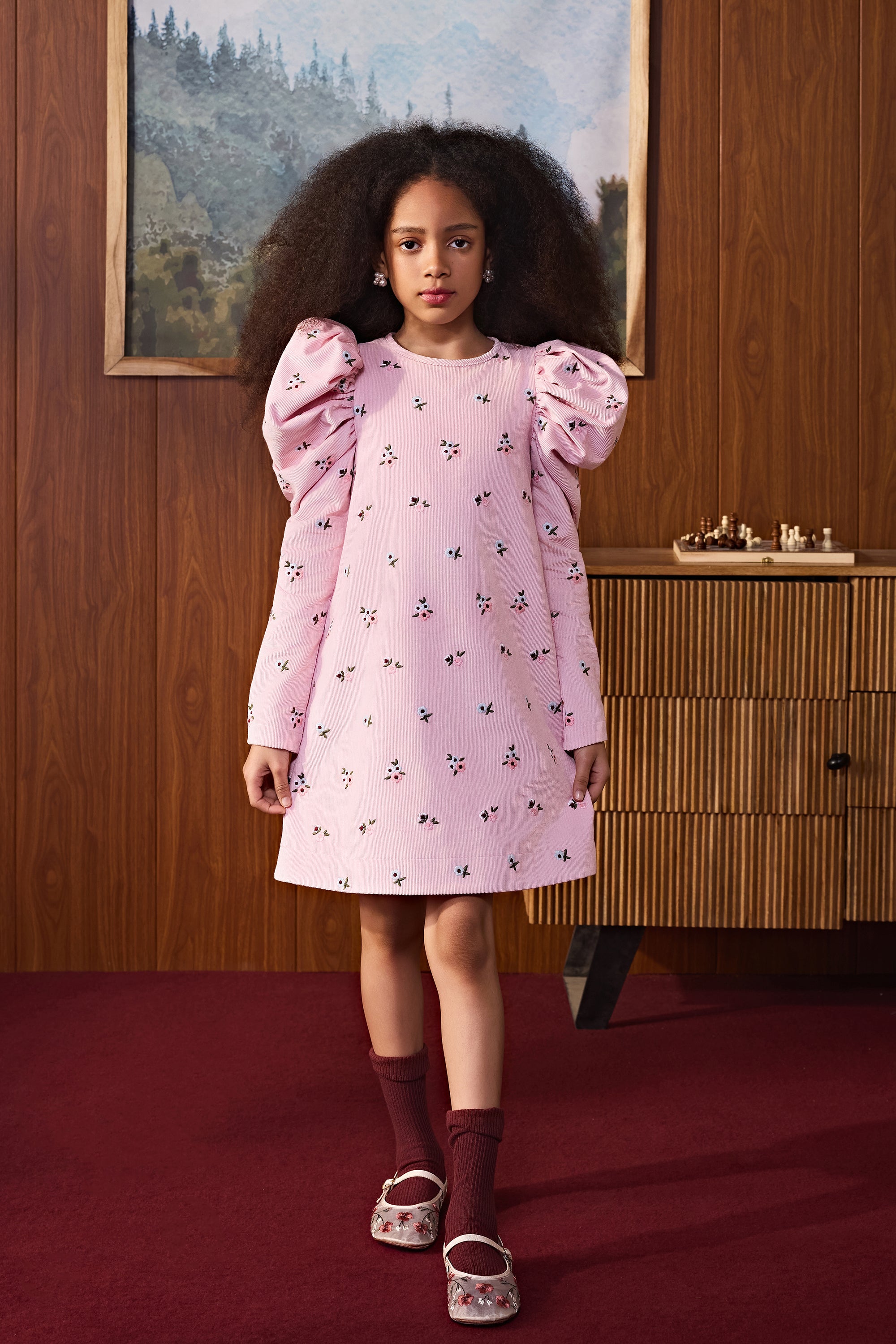 Sugarplum Embroidered Dress