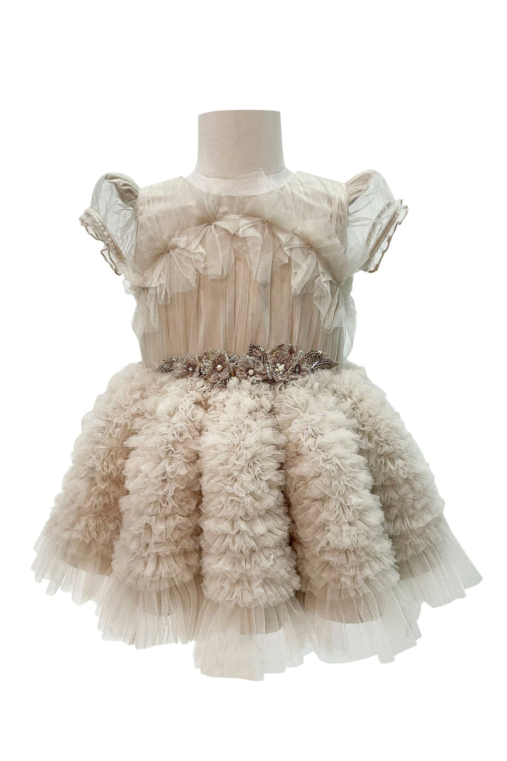 The Embellished Ariel Tulle Dress with Sleeves (Beige)