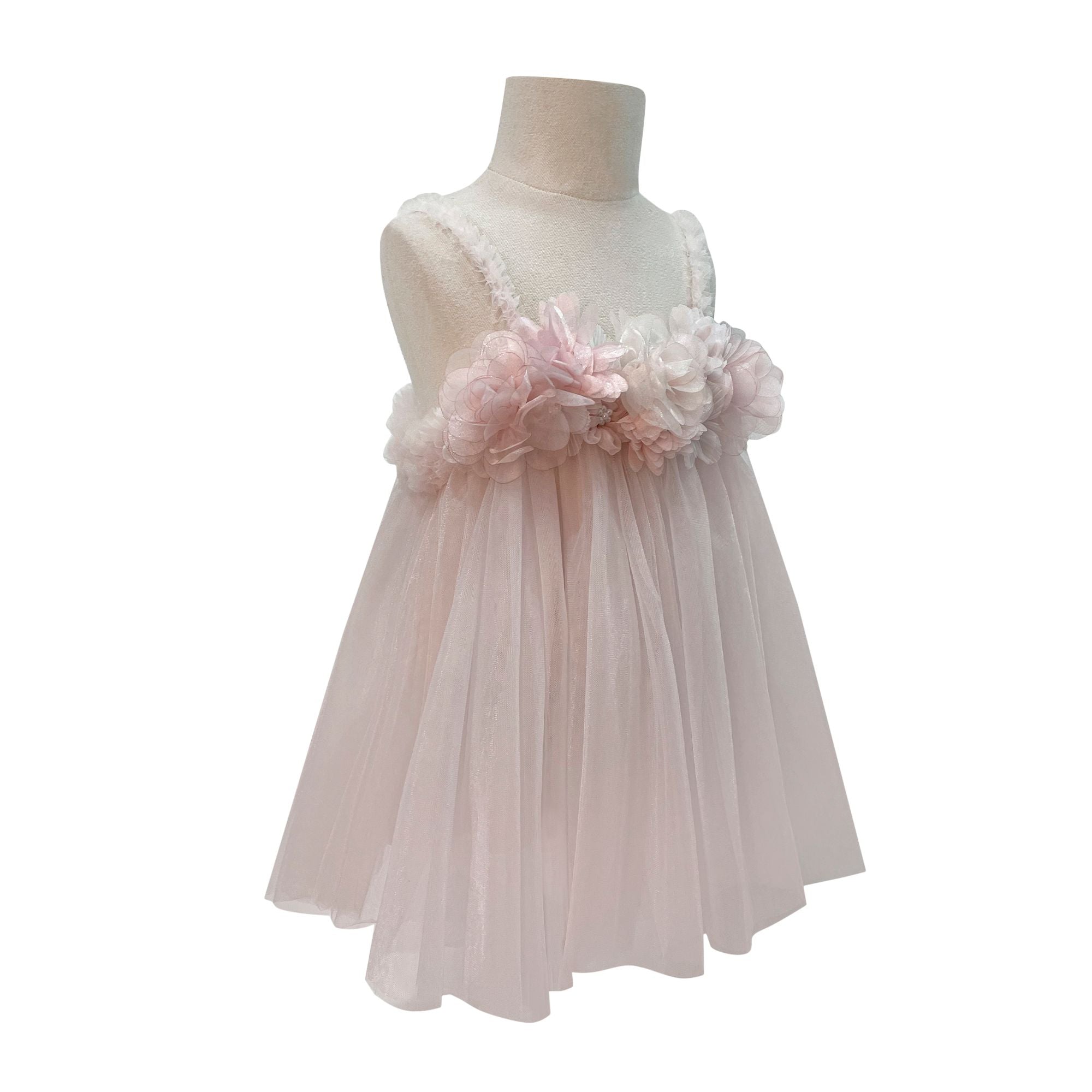 The Ashley Dress (Pink)