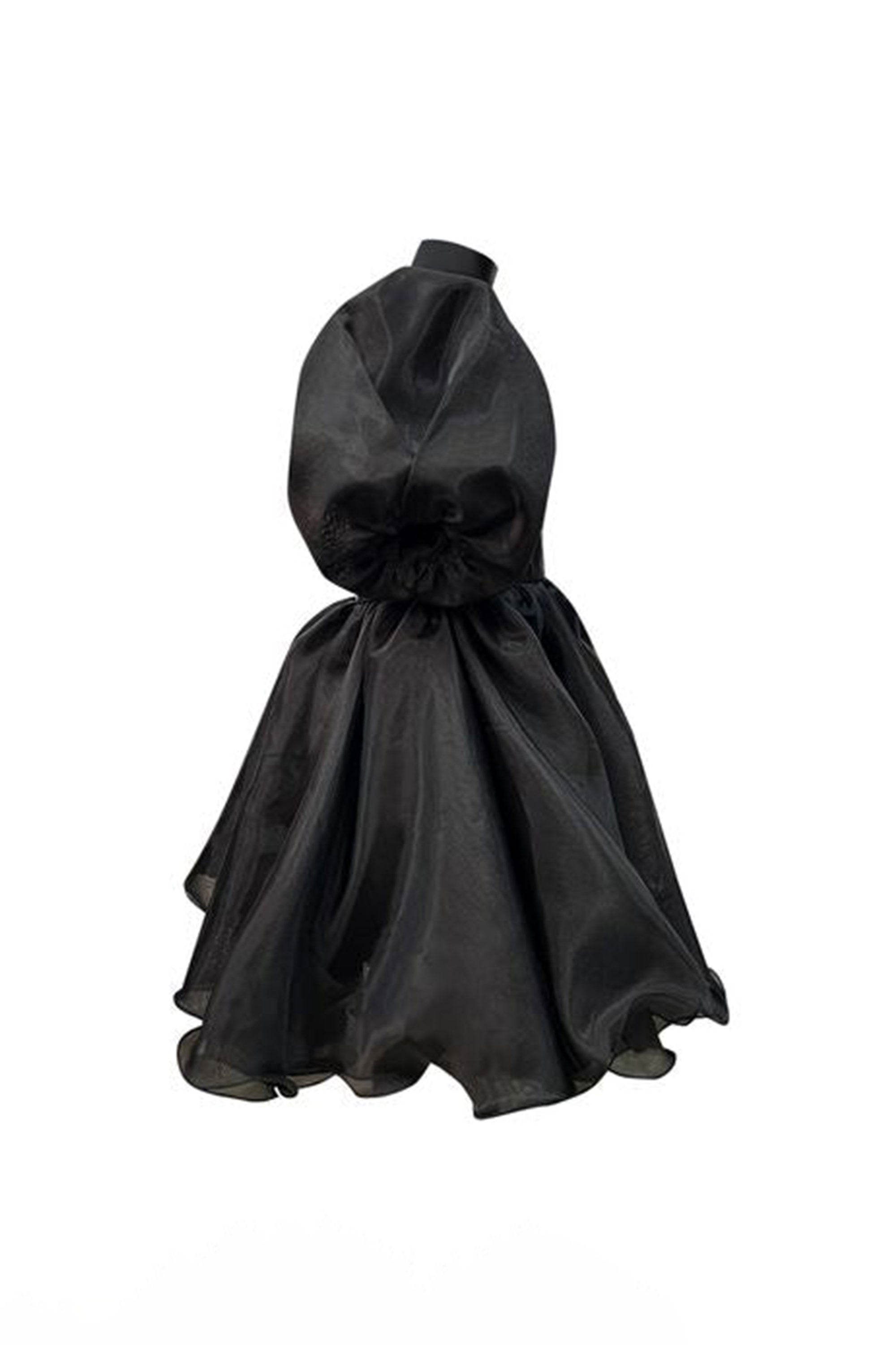 Limited Edition: The Alaia Organza Dress