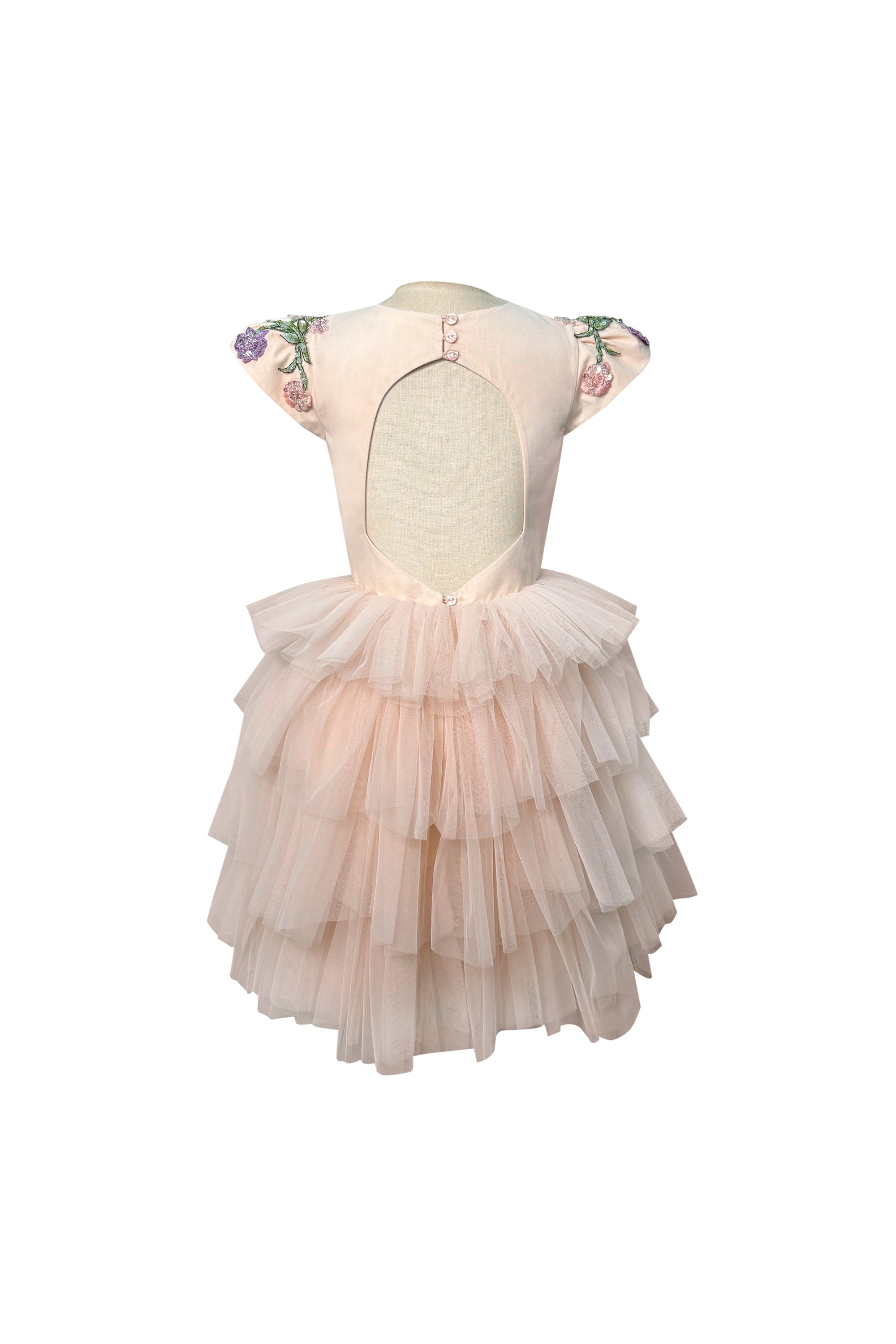 Drisella Tulle Dress