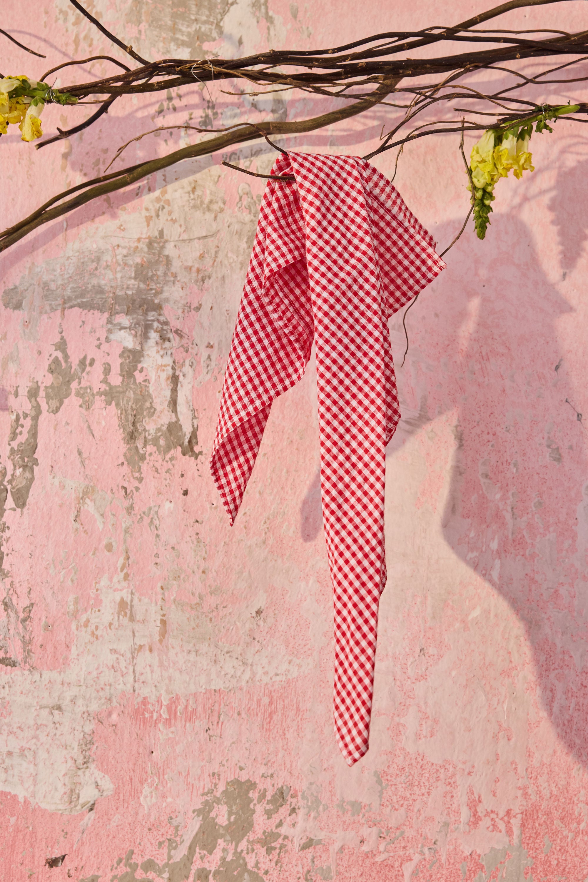 Cherry Check Bandana