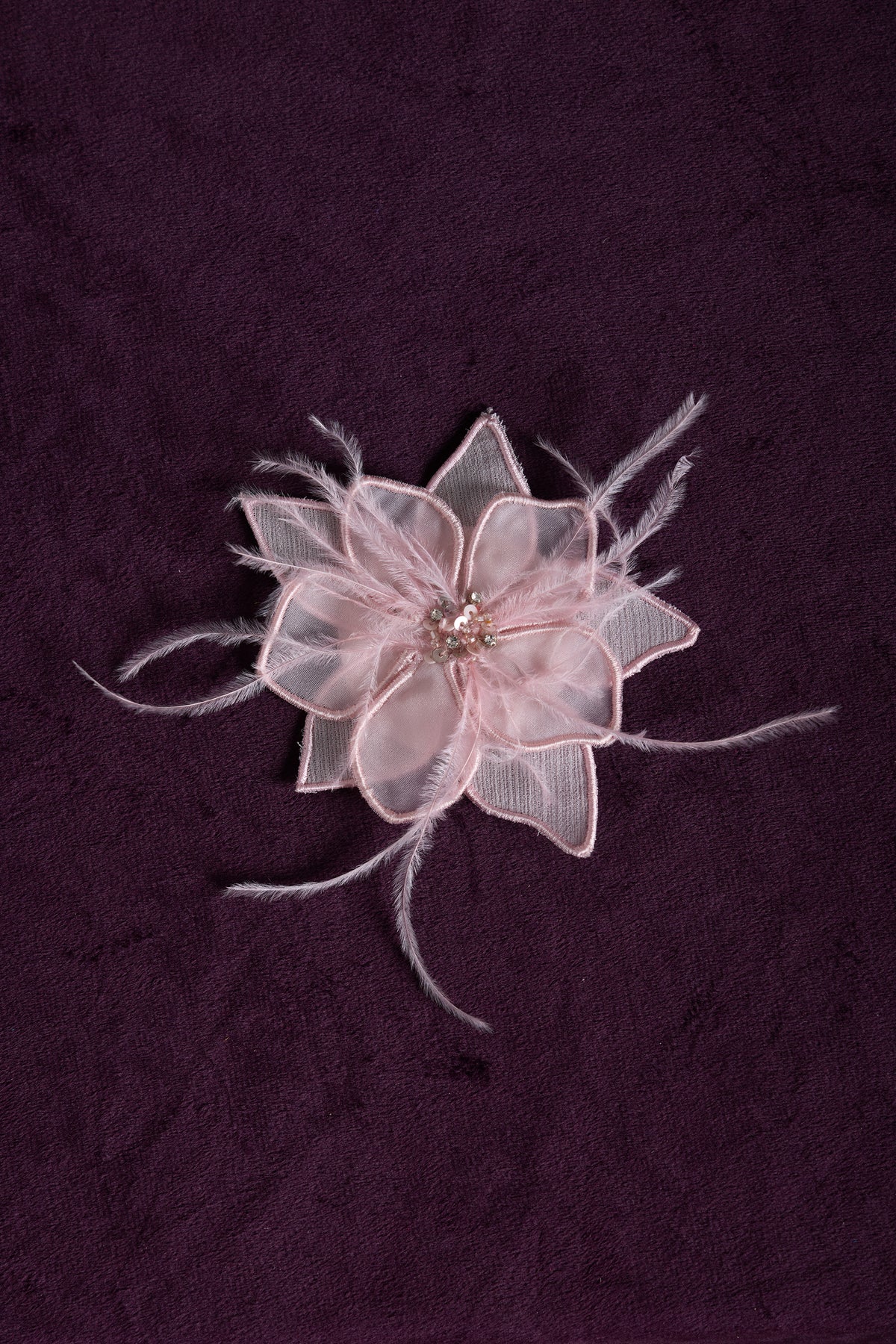 The Aliandra Clip
