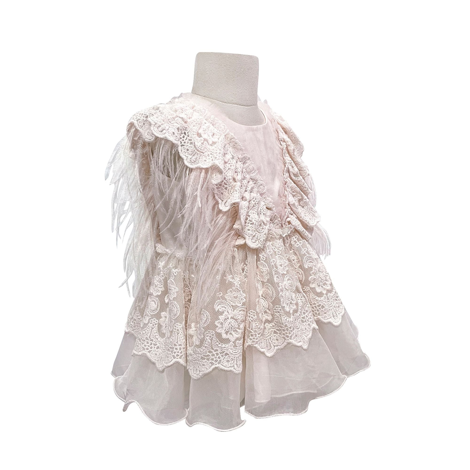 The Feather Fairy Dress (Pink)