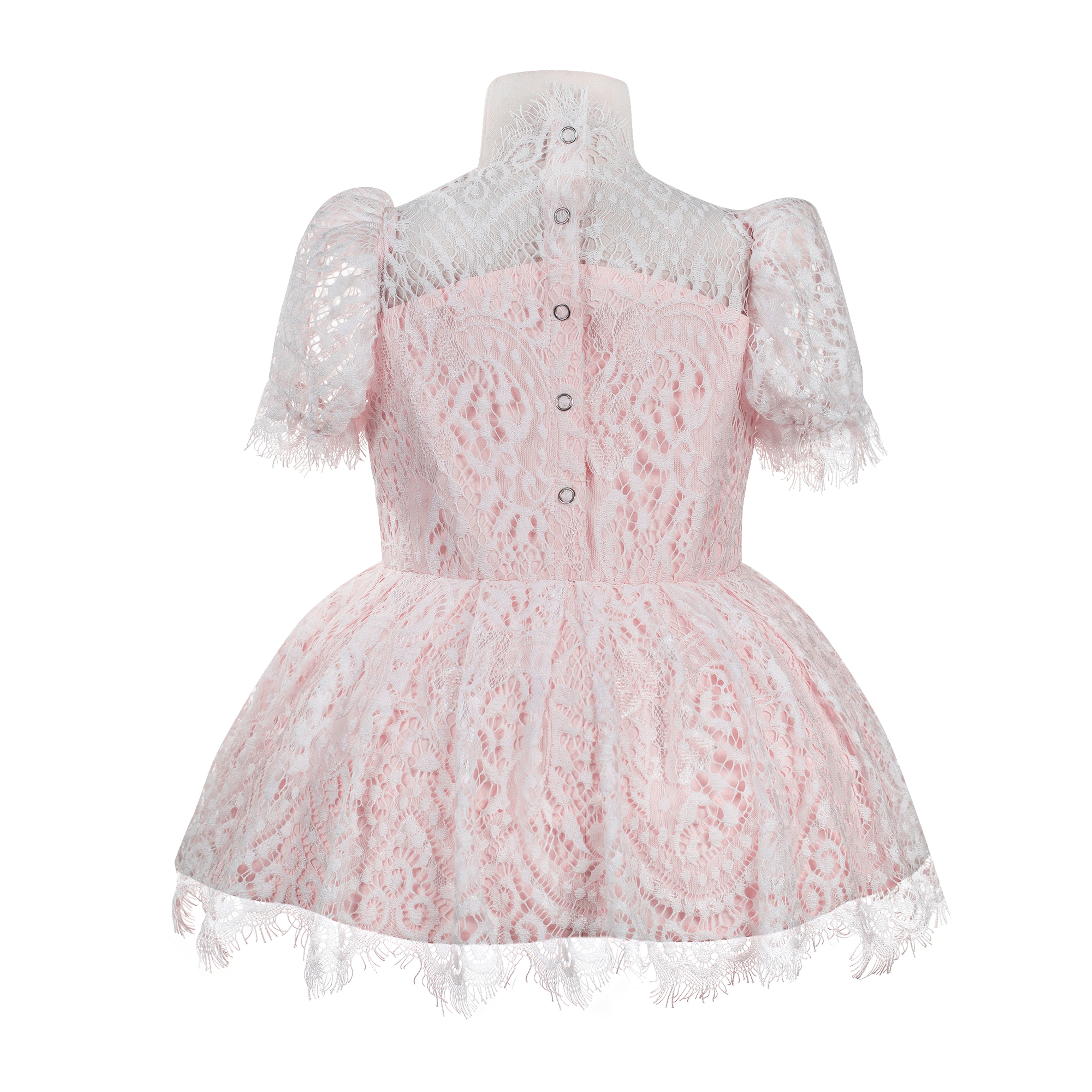 The Audrey Lace Dress (Pink)