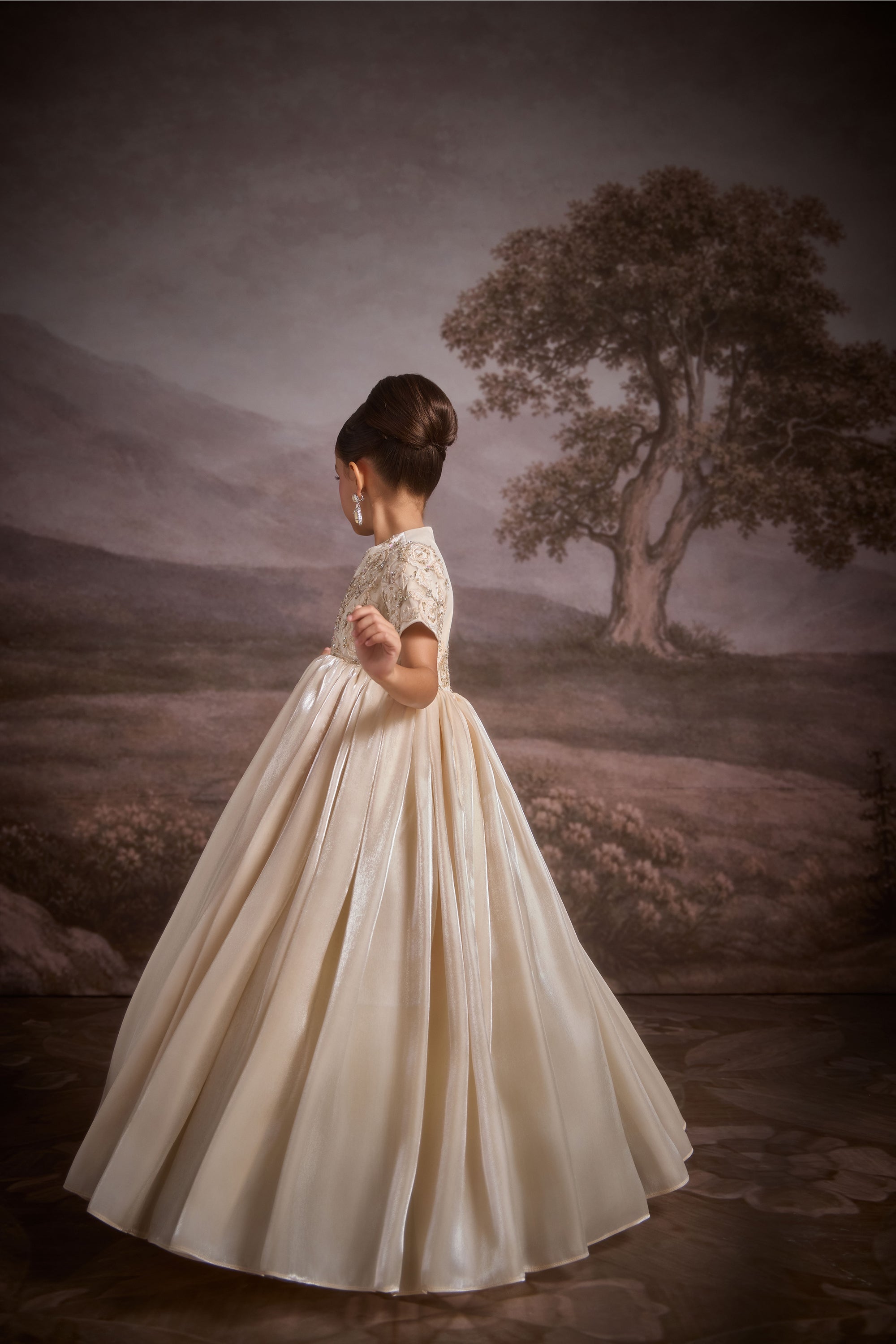 The Veloura Organza Gown