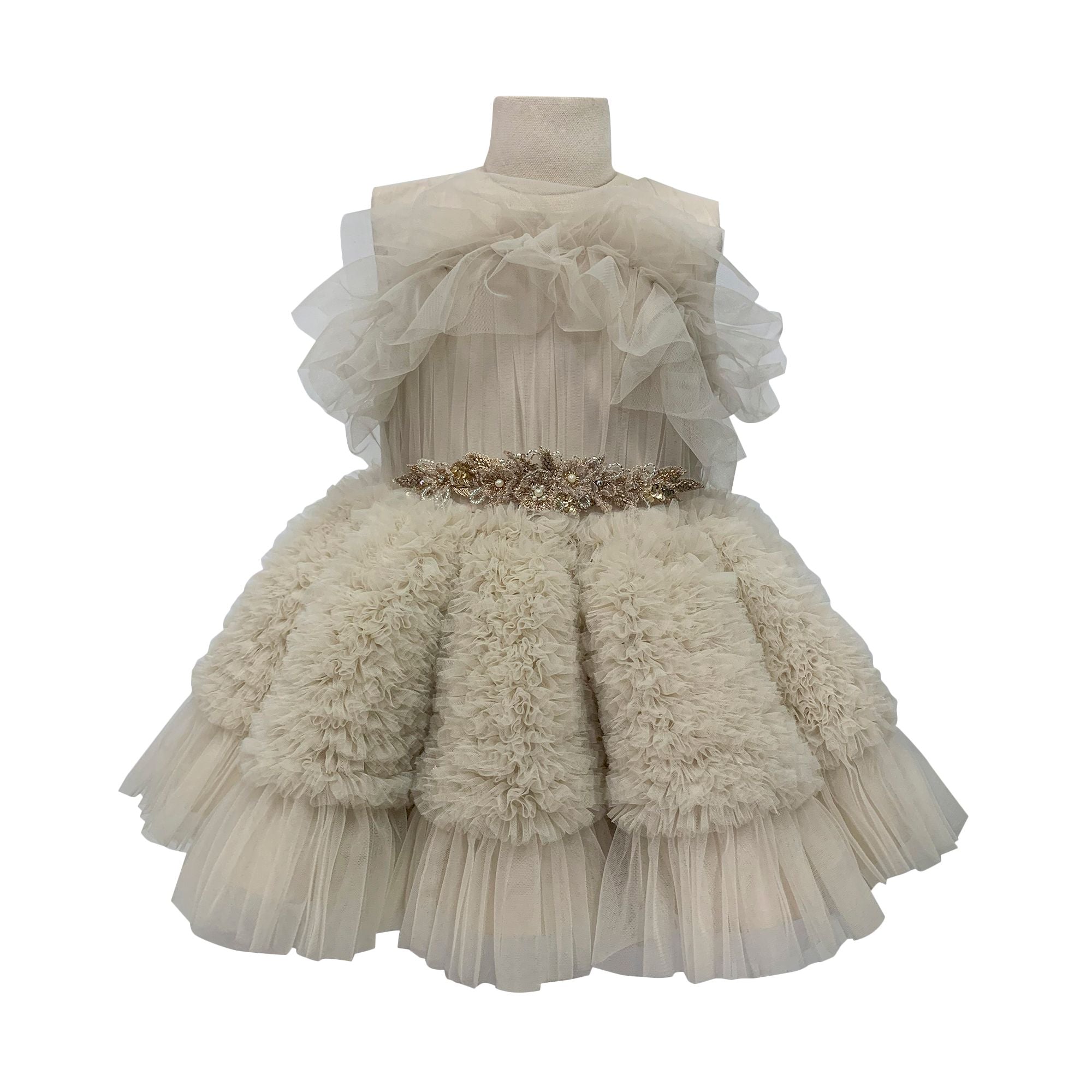 The Embellished Ariel Tulle Dress (Beige)