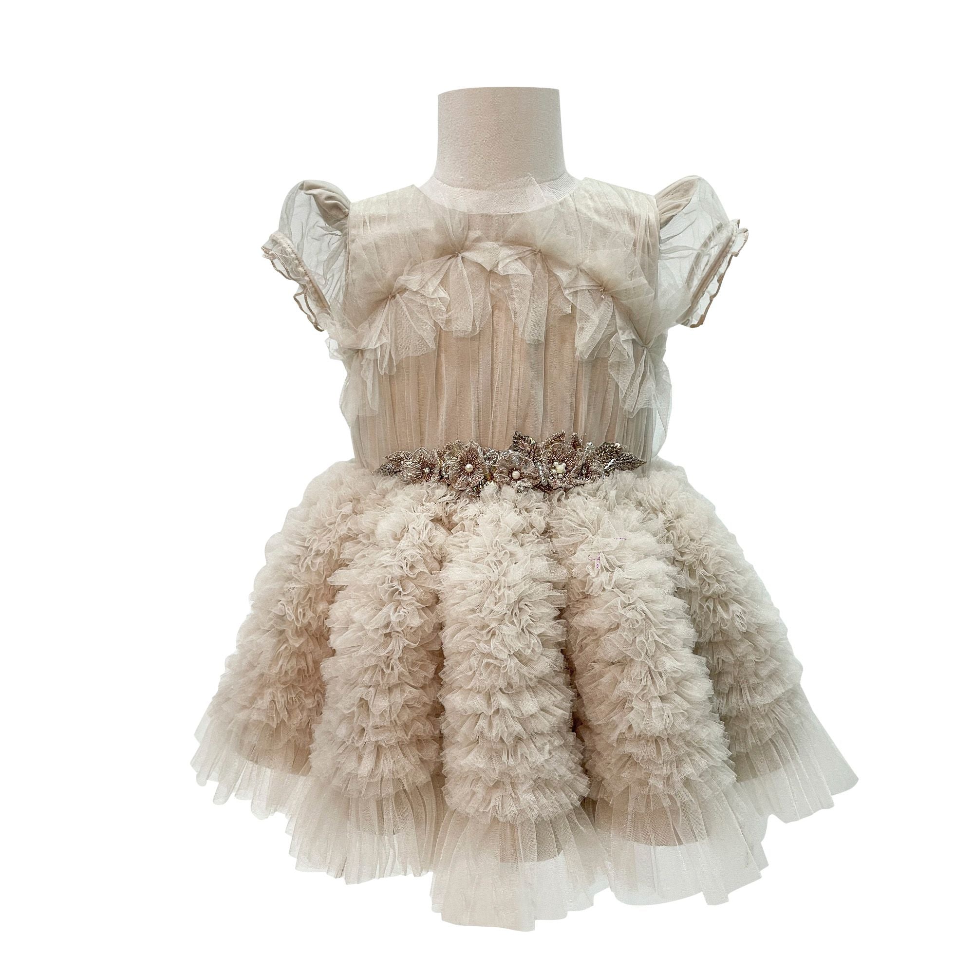 The Embellished Ariel Tulle Dress with Sleeves (Peach)