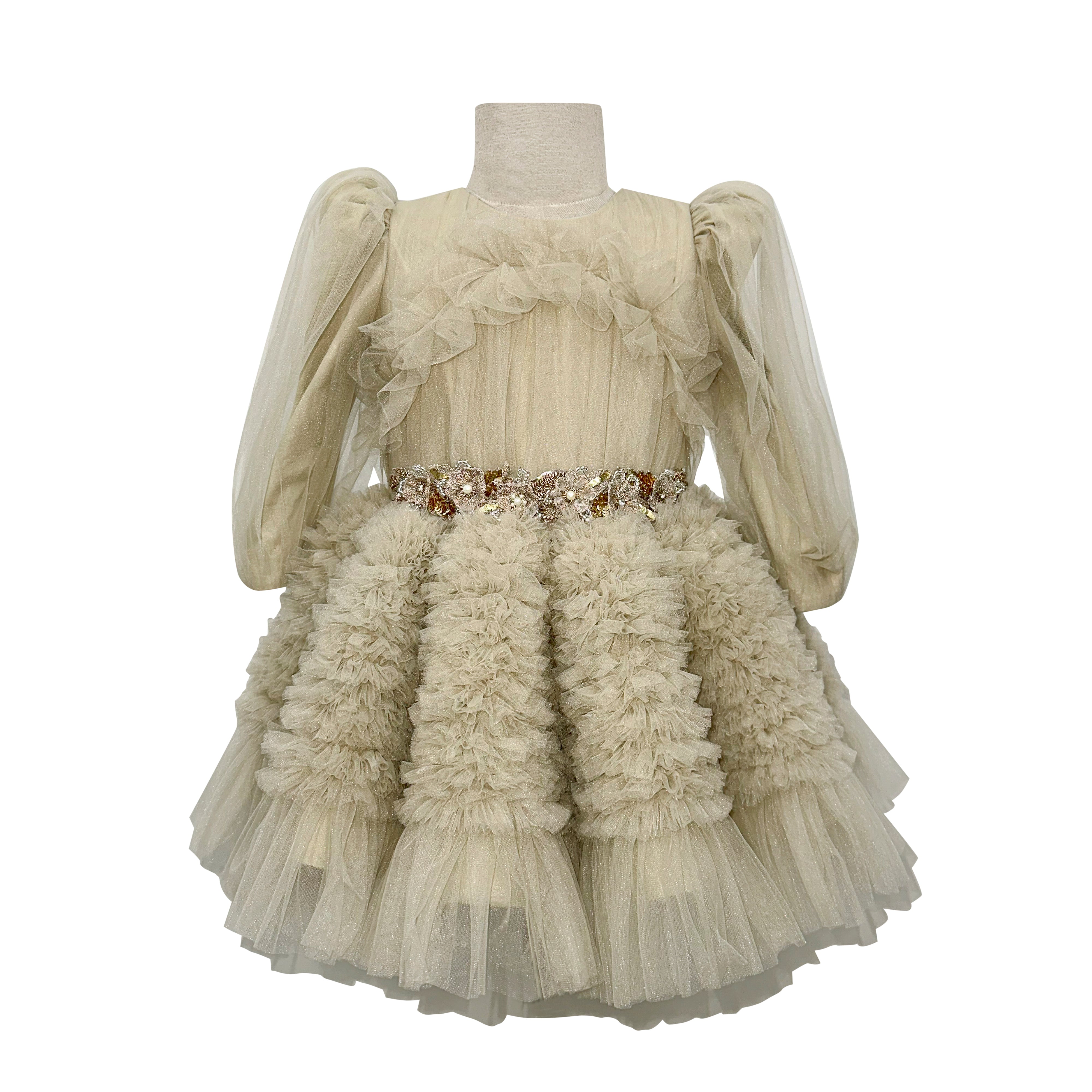 The Embellished Ariel Tulle Dress in Full Sleeves (Beige)