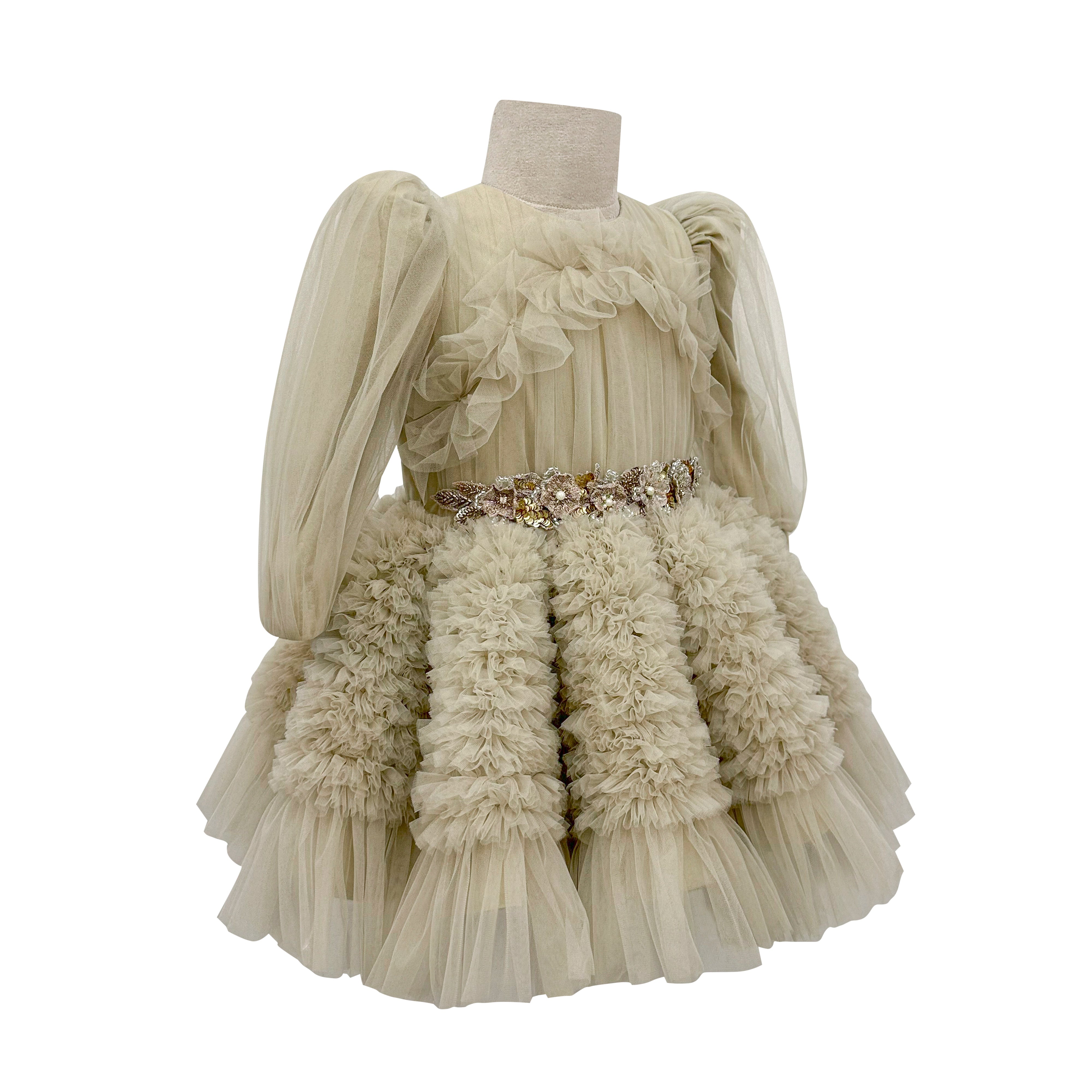 The Embellished Ariel Tulle Dress in Full Sleeves (Beige)